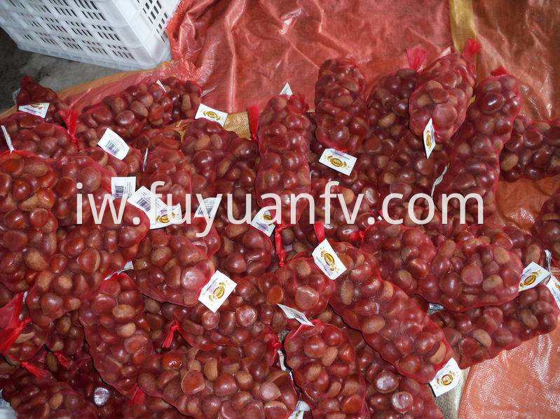 1kg mesh bag chestnut